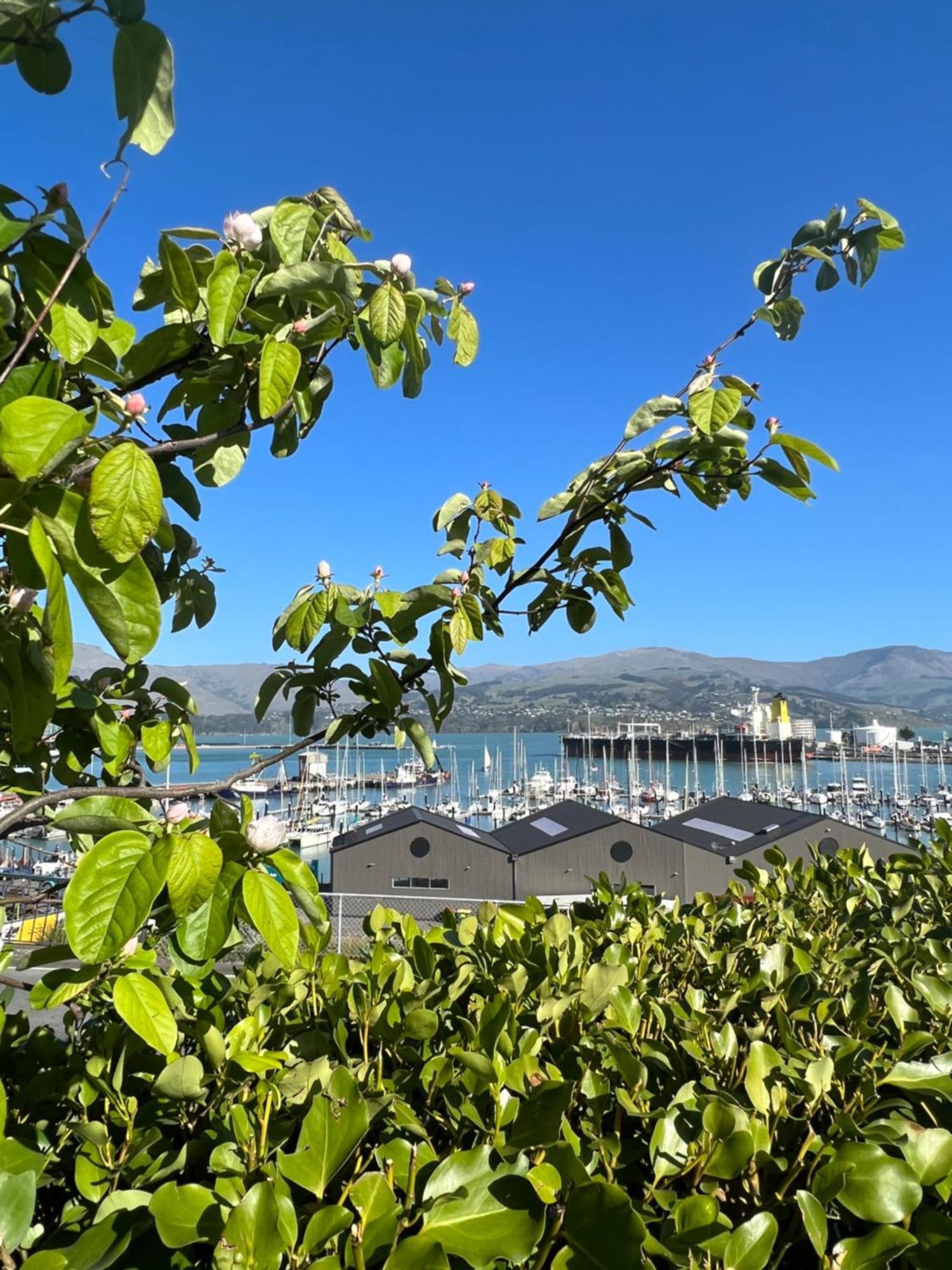 Sea Views In Luxury At Lyttelton Boatique House - 14 Km From Christchurch ภายนอก รูปภาพ